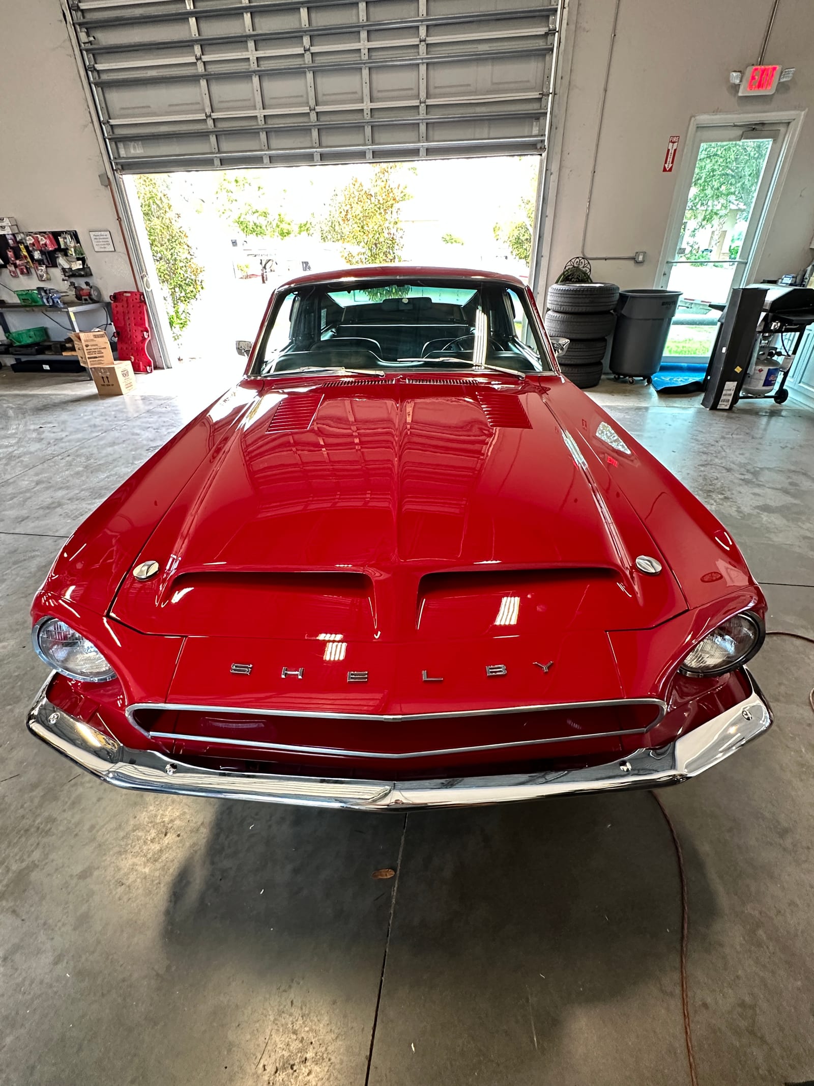Red Shelby GT classic Mustang with corrected and sealed paint